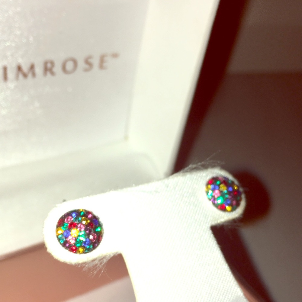 Sterling Silver Multi colored earrings